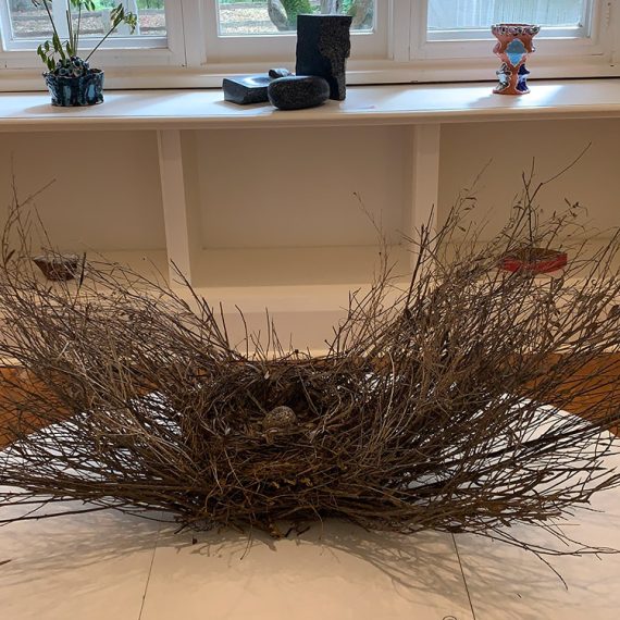 Birds Nest # 3