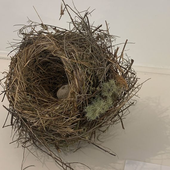 Birds Nest # 2
