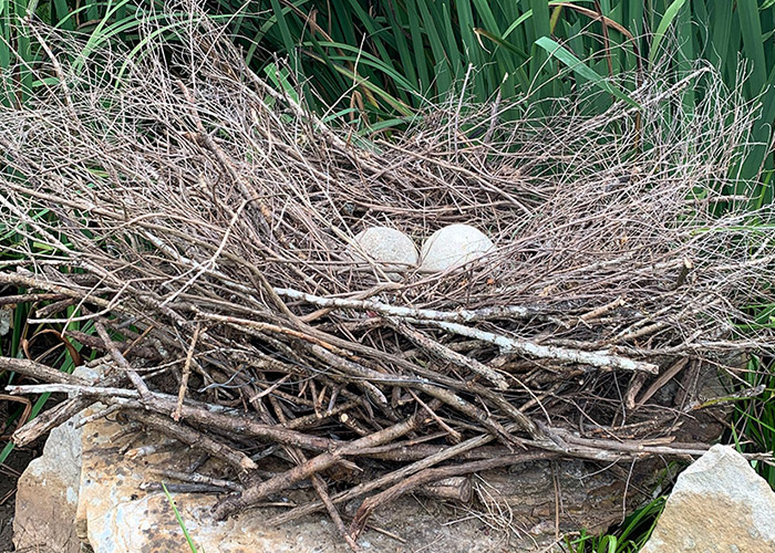 A birds nest commission made from found materials