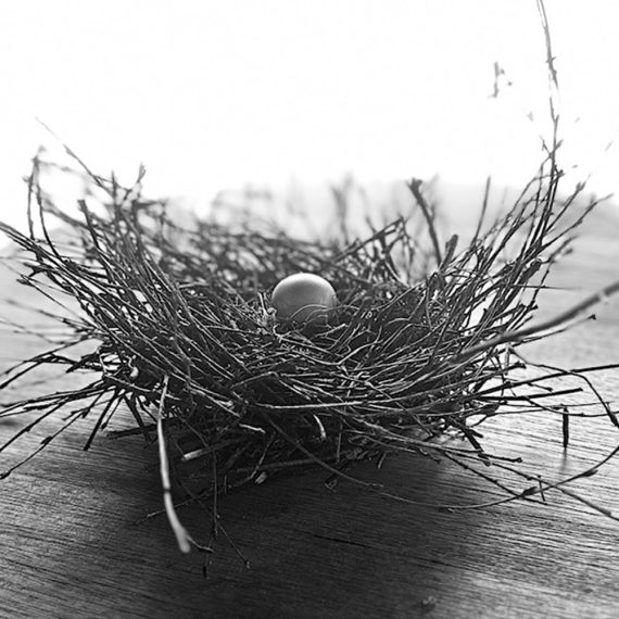 Birds Nest
