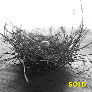 BirdsNest_SHAC-2_IMG_4657_1000x1000_SOLD-2
